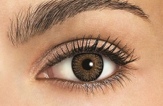 Pure Hazel
